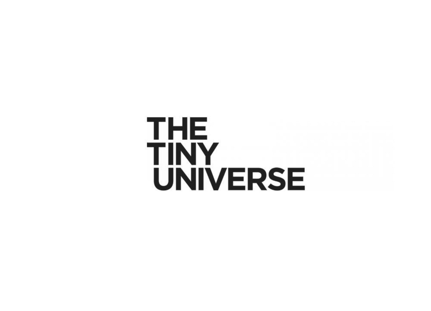 THE TINY UNIVERSE