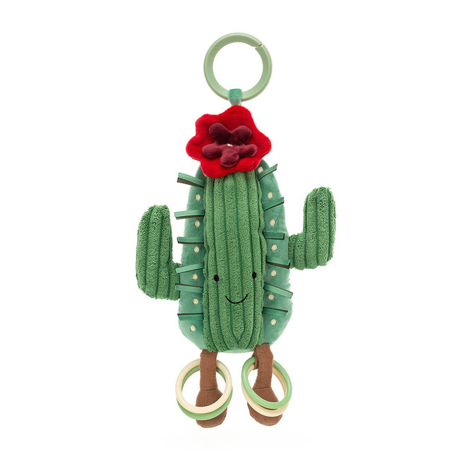 Amuseable Cactus Activity Toy