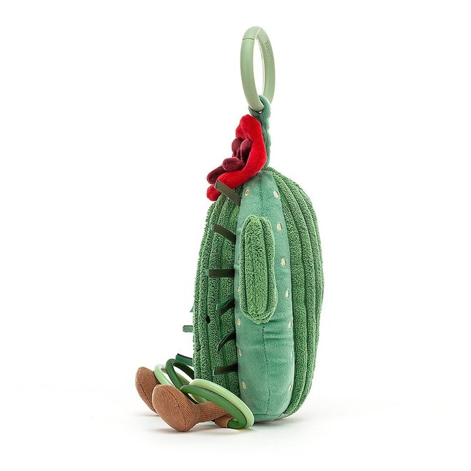 Amuseable Cactus Activity Toy