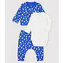 Babies' Blue Organic Cotton Clothing - 3-Pack Blue Bird