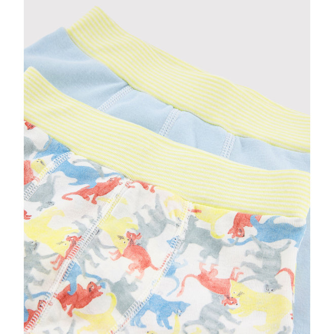 Boys' Cat Print Organic Cotton Boxer Shorts - 2-Pack