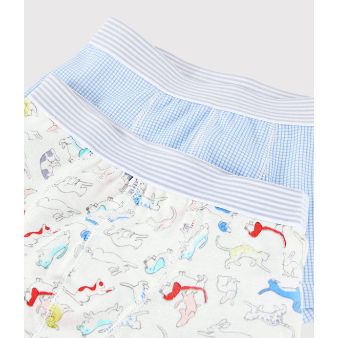 Boys' Animal Print Organic Cotton Boxer Shorts - 2-Pack