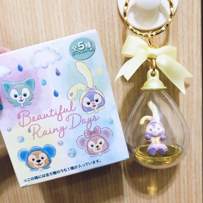 Duffy and Friends Blind Box Keychain whole collection