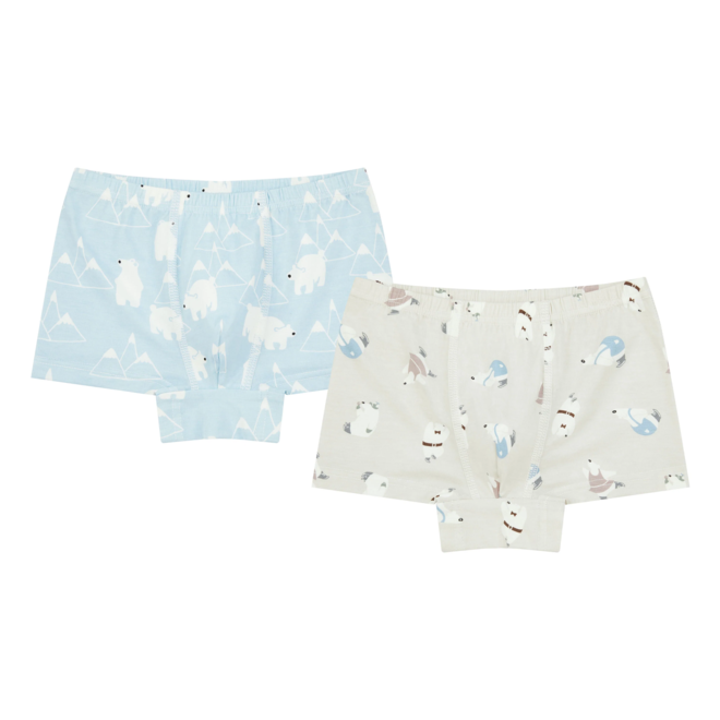 Bamboo Boys Boxer Briefs Underwear (2 Pack) - Polar Bear