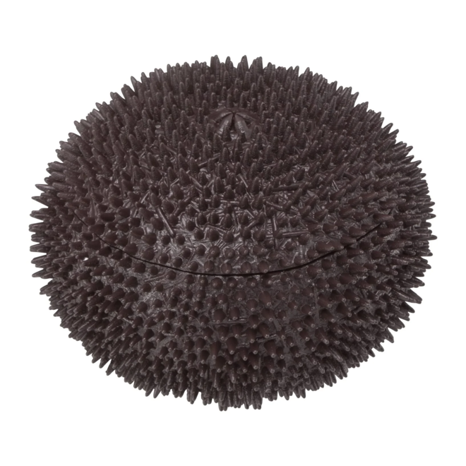 Megahouse Sea Urchin Puzzle