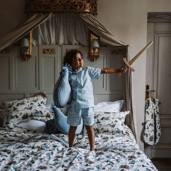 TODDLER WARM BLANKET-PRINCE -WIND BLUE