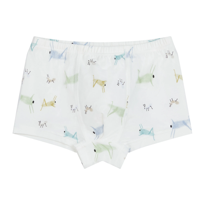 Bamboo Boys Boxer Briefs Underwear (2 Pack) - The Tortoise & The Hare/The Ant & The Grasshopper