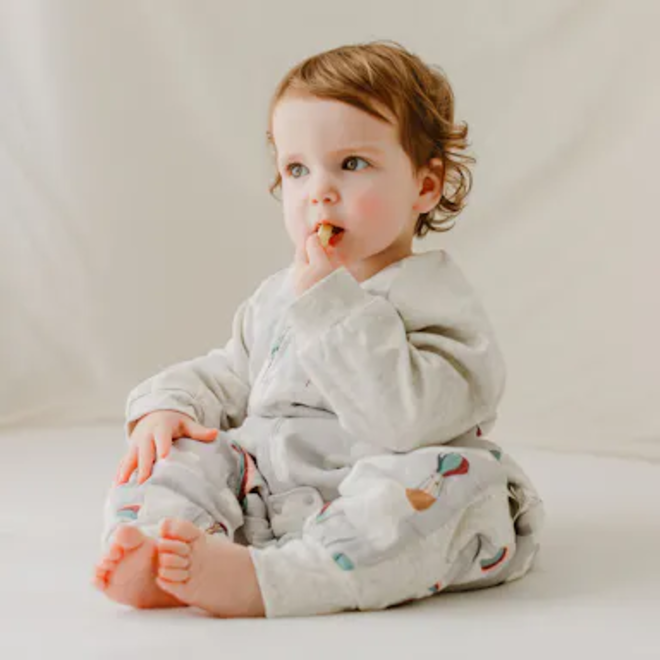 Raglan Long Sleeve Footed Sleep Bag - Meerkats Away!