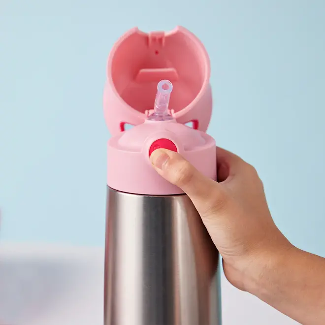 Bbox - Insulated Drink Bottle - 500ml - Flamingo Fizz