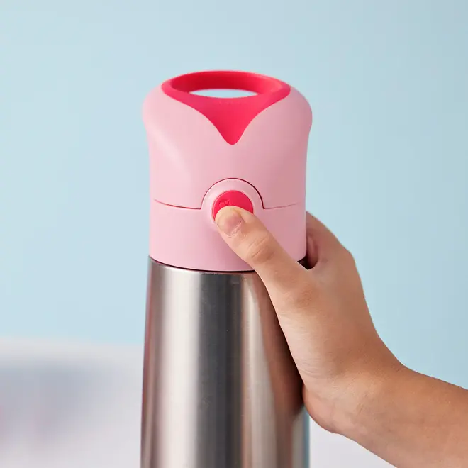 Bbox - Insulated Drink Bottle - 500ml - Flamingo Fizz