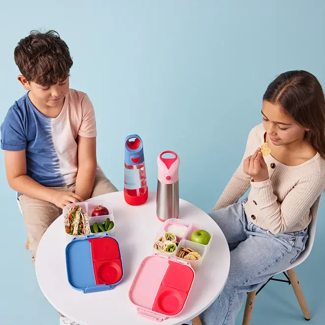 Bbox - Insulated Drink Bottle - 500ml - Flamingo Fizz
