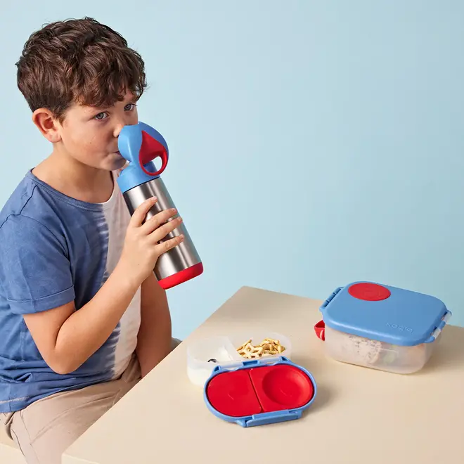 Bbox - Insulated Drink Bottle - 500ml - Blue Blaze
