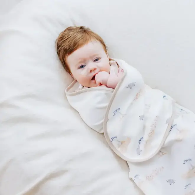 Startie Stop Sleep Bag 0.5Tog Baby Baobabs