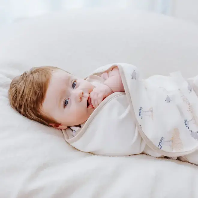 Startie Stop Sleep Bag 0.5Tog Baby Baobabs