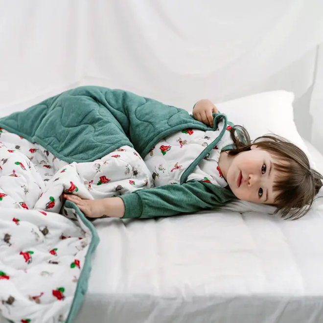 Large Quilted Winter Blanket Sleigh All Day