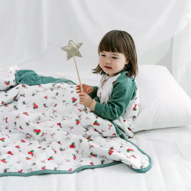 Large Quilted Winter Blanket Sleigh All Day