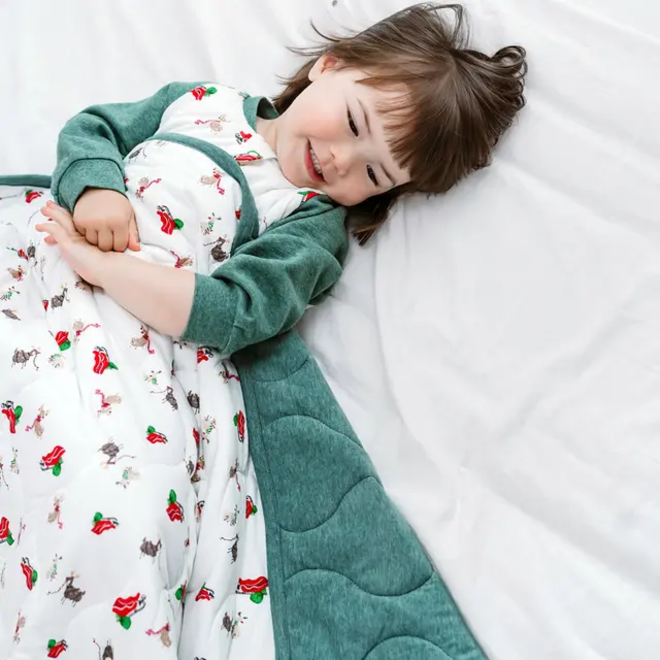 Large Quilted Winter Blanket Sleigh All Day
