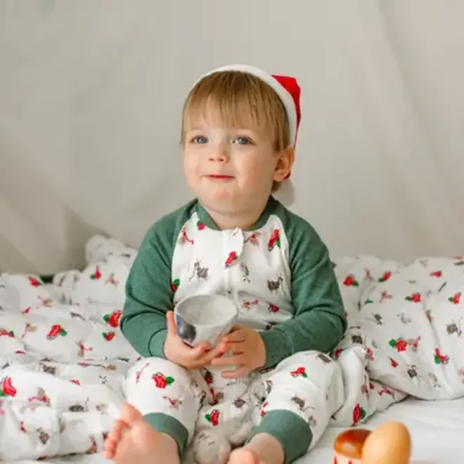 Long Sleeve Footed Sleep Bag 1.0 TOG Sleigh All Day