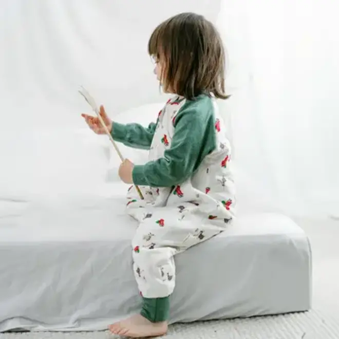 Long Sleeve Footed Sleep Bag 1.0 TOG Sleigh All Day