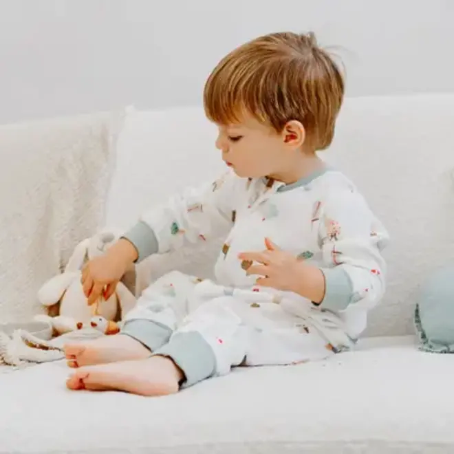 Long Sleeve Footed Sleep Bag 0.6 TOG (Bamboo Pima) - Ice Cream Summer