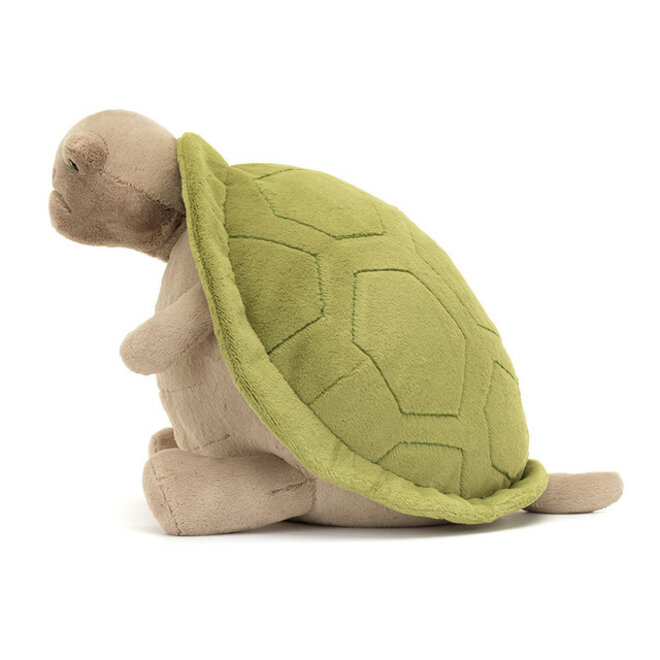 Timmy Turtle Big