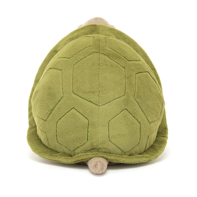 Timmy Turtle Big
