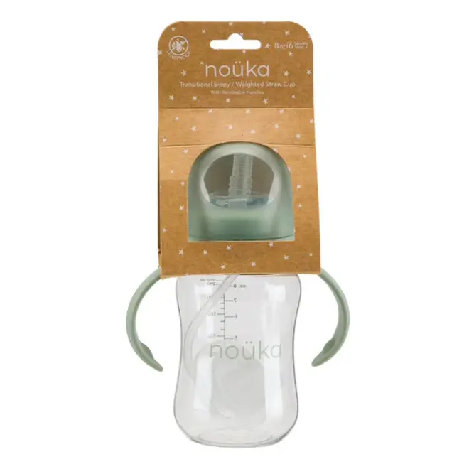 noüka Transitional Sippy/Weighted Straw Cup -Bloom