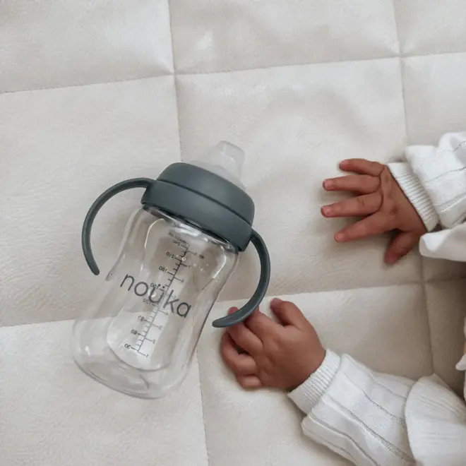 noüka Transitional Sippy/Weighted Straw Cup -Bloom