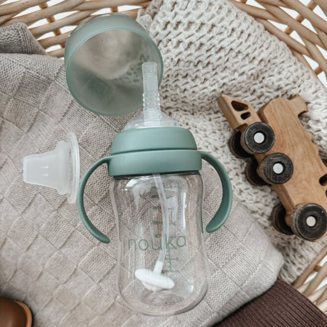 noüka Transitional Sippy/Weighted Straw Cup -Bloom