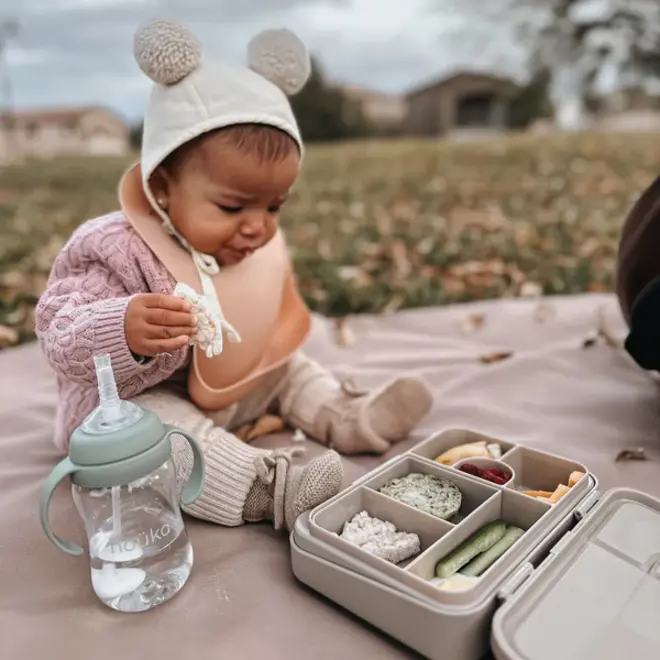 noüka Transitional Sippy/Weighted Straw Cup -Bloom