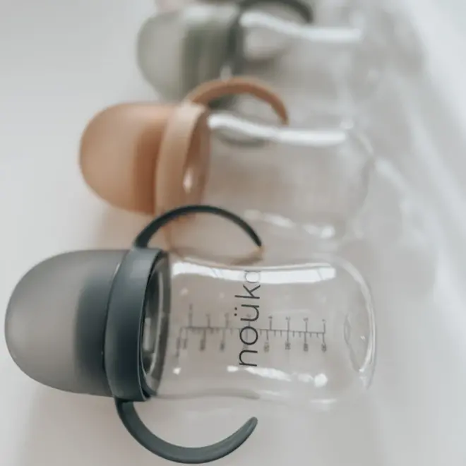 noüka Transitional Sippy/Weighted Straw Cup -Bloom