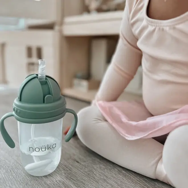 noüka Weighted Straw Replacement and Cleaning Brush for Weighted Straw Cup 9 oz