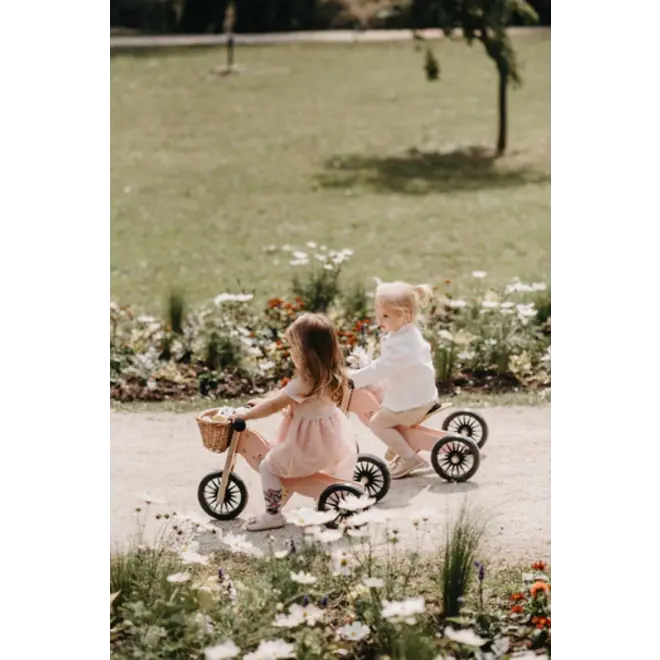 TINY TOT PLUS BIKE - ROSE