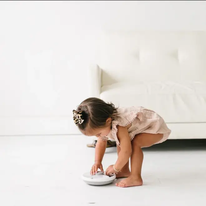 GoBe Original Snack Spinner Blue