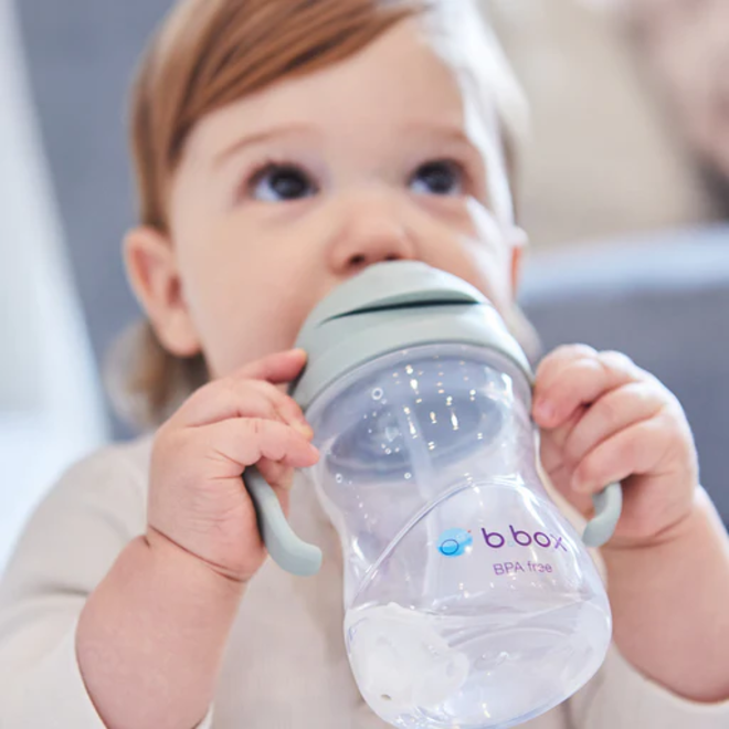 b.box - Transition Value Pack - Sage