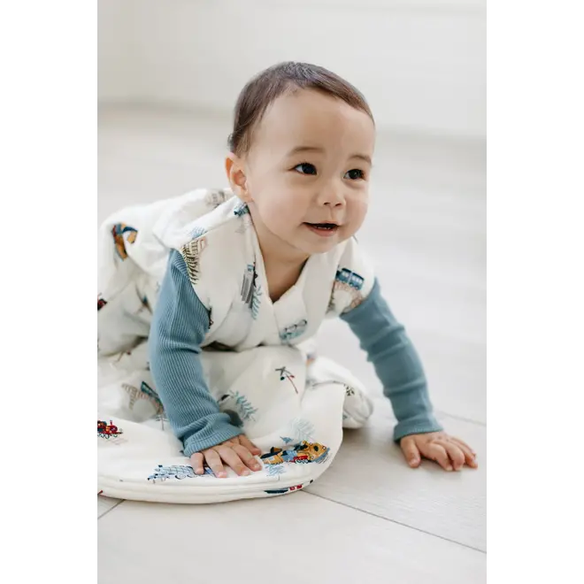 Tencel Sleep Bag 2.5 TOG - All Aboard