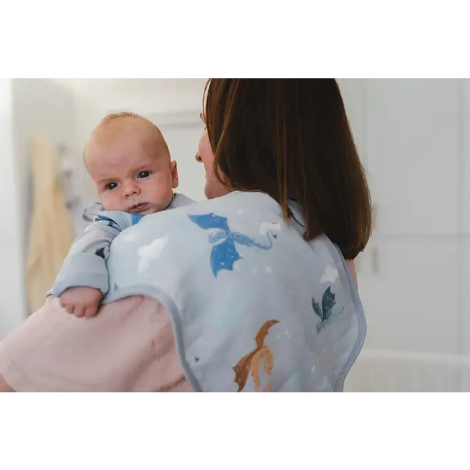 Burp Cloth Set - 2 Pack - Magical Dragons