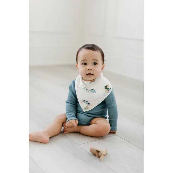 Muslin Bandana Bib Set - All Aboard