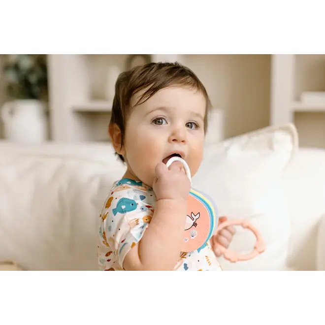 Flashcards - Alphabets