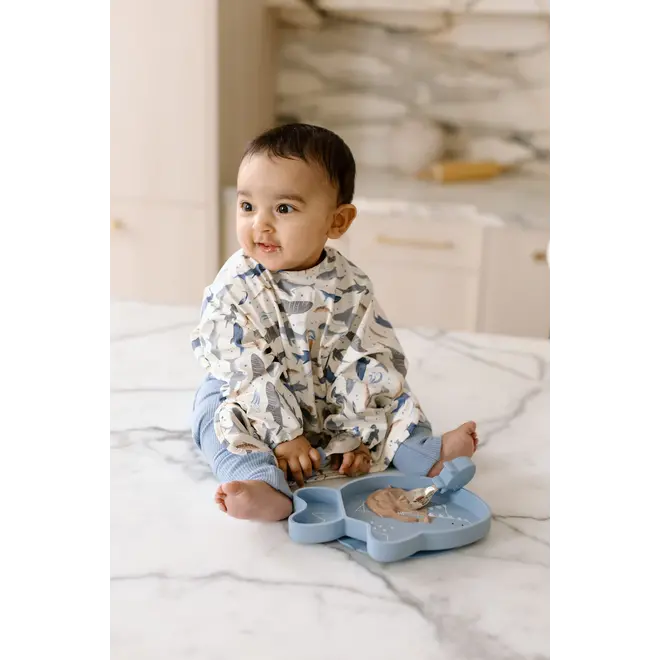 Snack Plate - Sharks