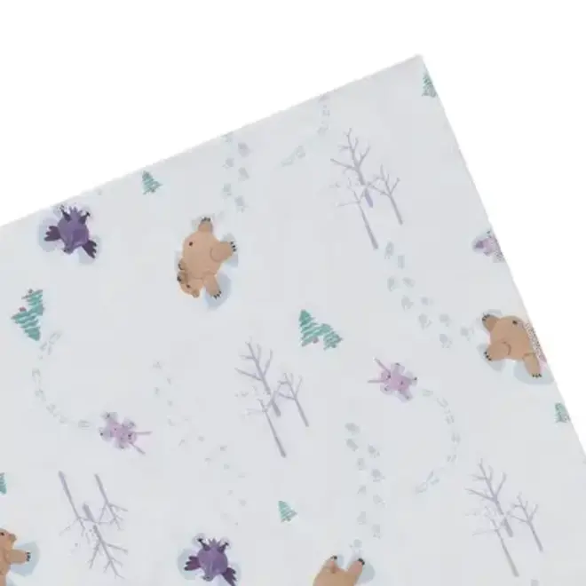 Bubs Baby Washcloth Set (6 Pack) SNOW BUDDIES