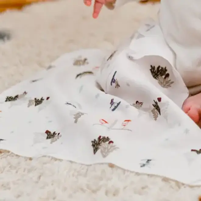 Bubs Baby Washcloth Set (6 Pack) WINTER FUN