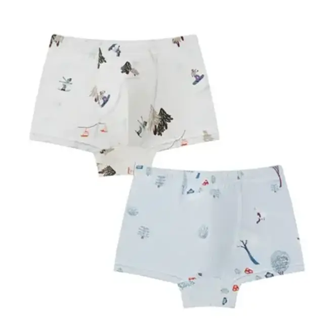 Boys Boxer Briefs Underwear (2 Pack) WINTER FUN