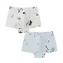 Boys Boxer Briefs Underwear (2 Pack) WINTER FUN
