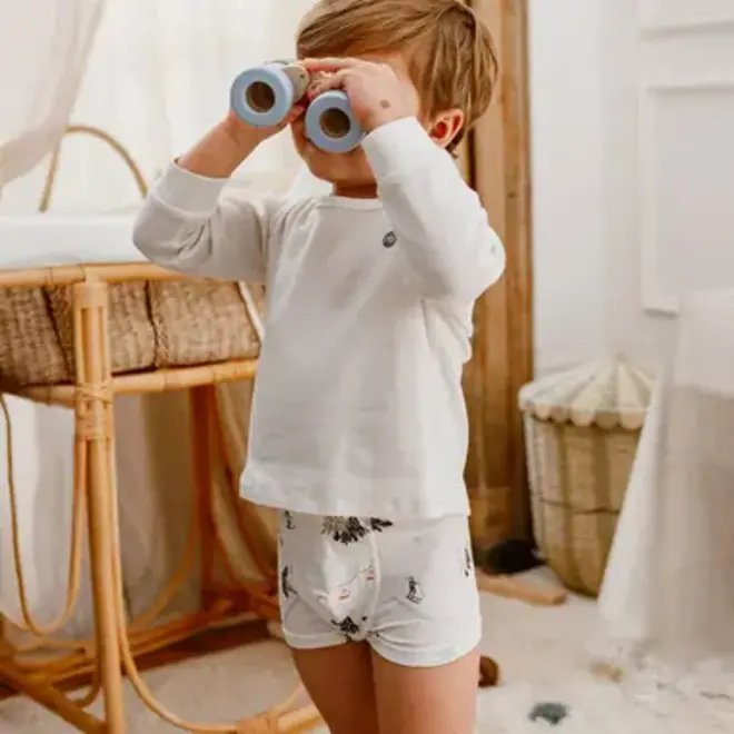 Boys Boxer Briefs Underwear (2 Pack) WINTER FUN