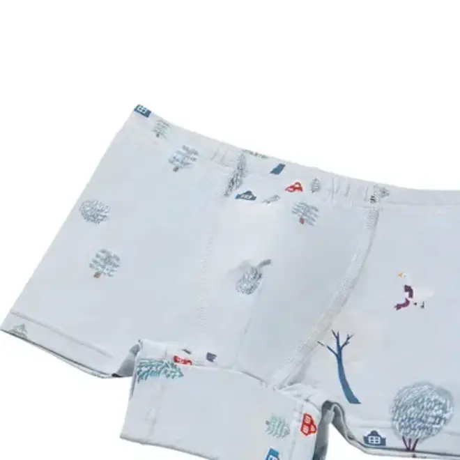 Boys Boxer Briefs Underwear (2 Pack) WINTER FUN
