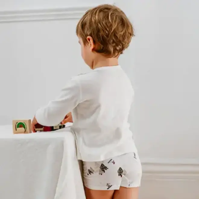 Boys Boxer Briefs Underwear (2 Pack) WINTER FUN