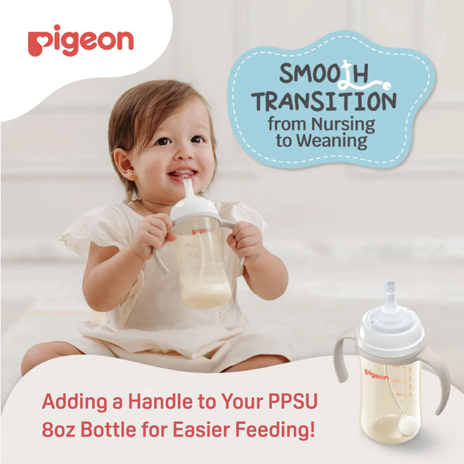 Pigeon - Bottle Handle - Grey