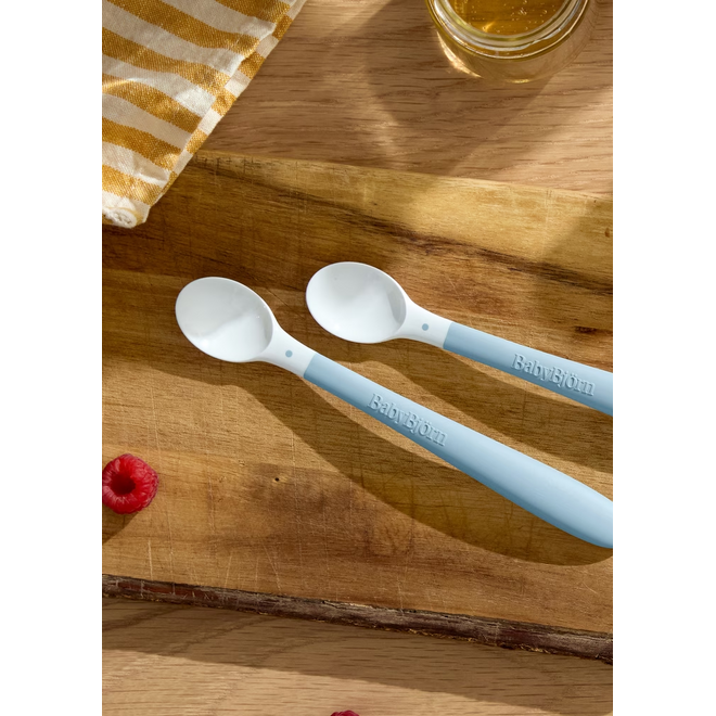 Feeding Spoon, 2-pack , Powder blue