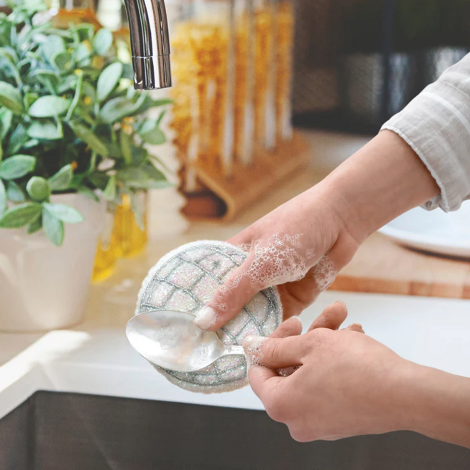 SPONGES DISHCO FEVER-2